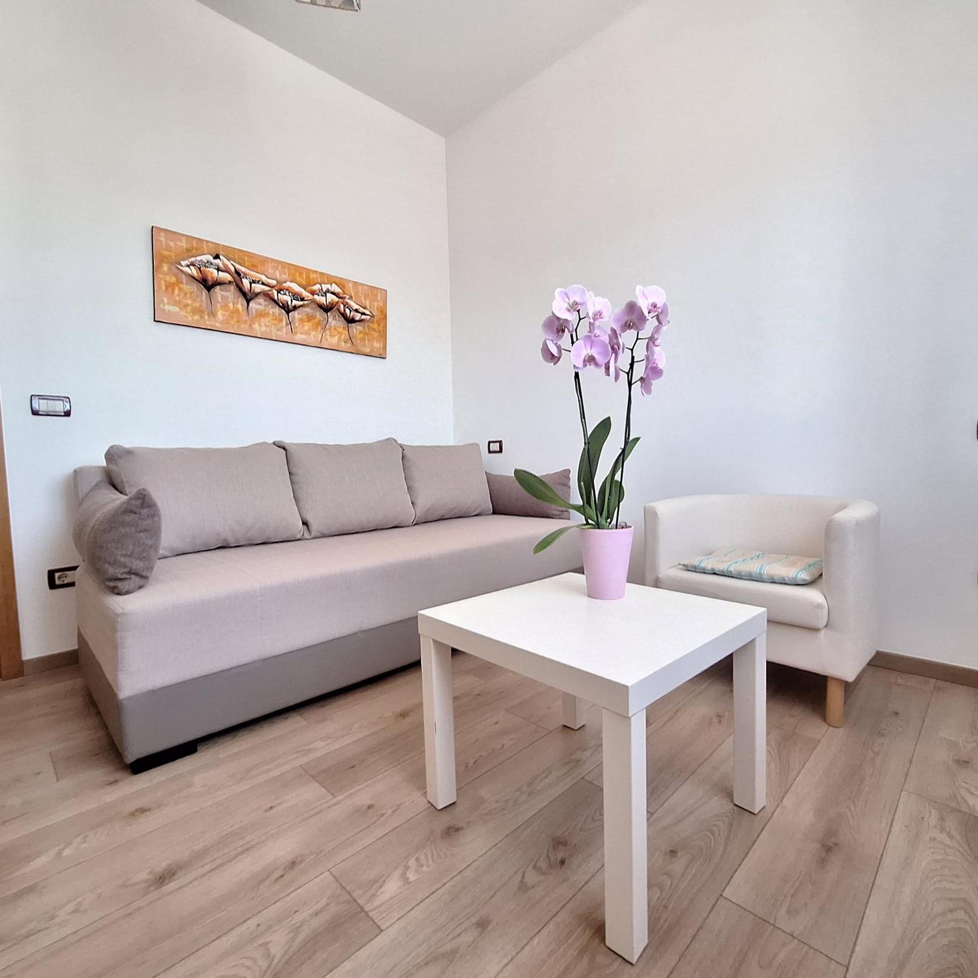 Apartament Mita